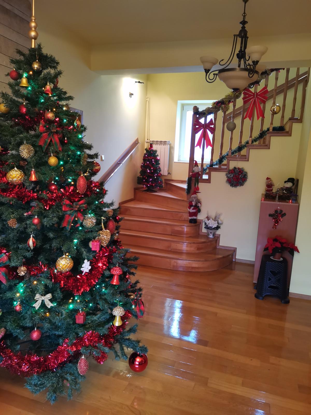 Salon de socializare